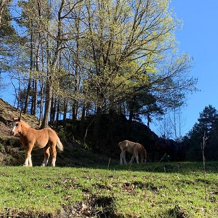 Appartement A Ordino Eksteriør bilde